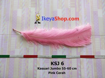 KSJ 6  large2